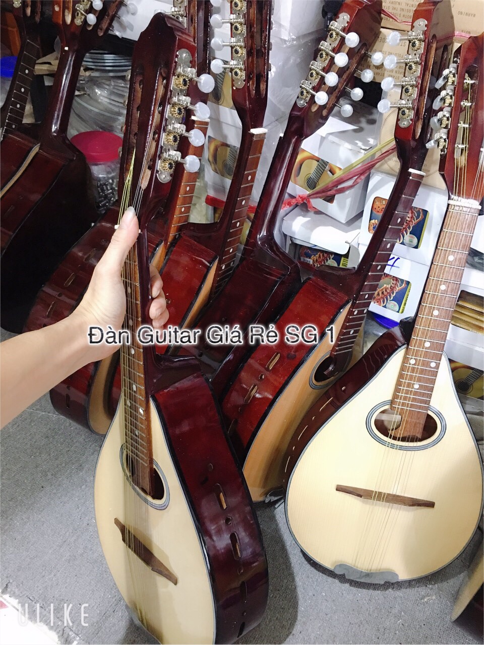 [HCM]Đàn Mandolin có đúp hông