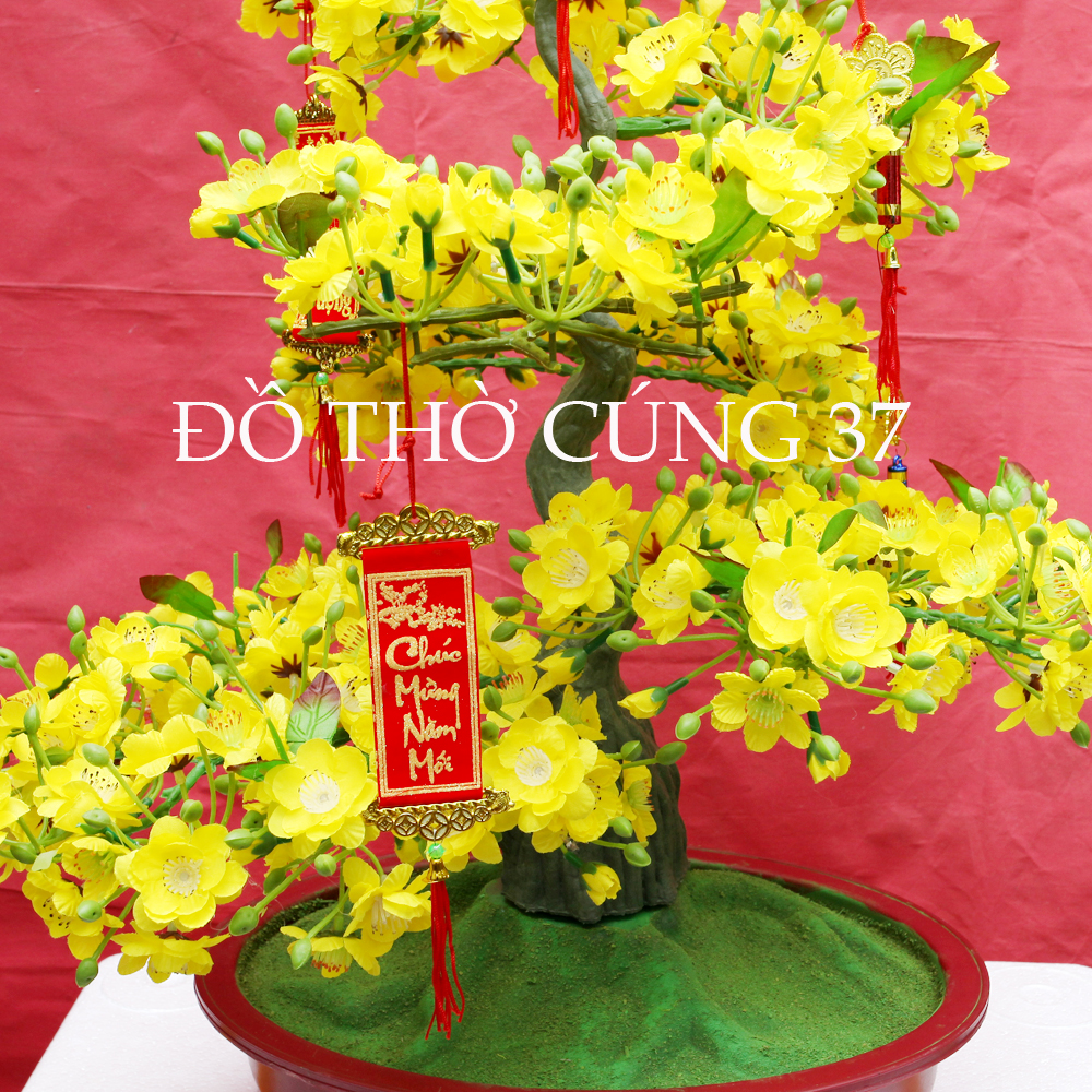 CHẬU MAI GIẢ KIỂU BONSAI