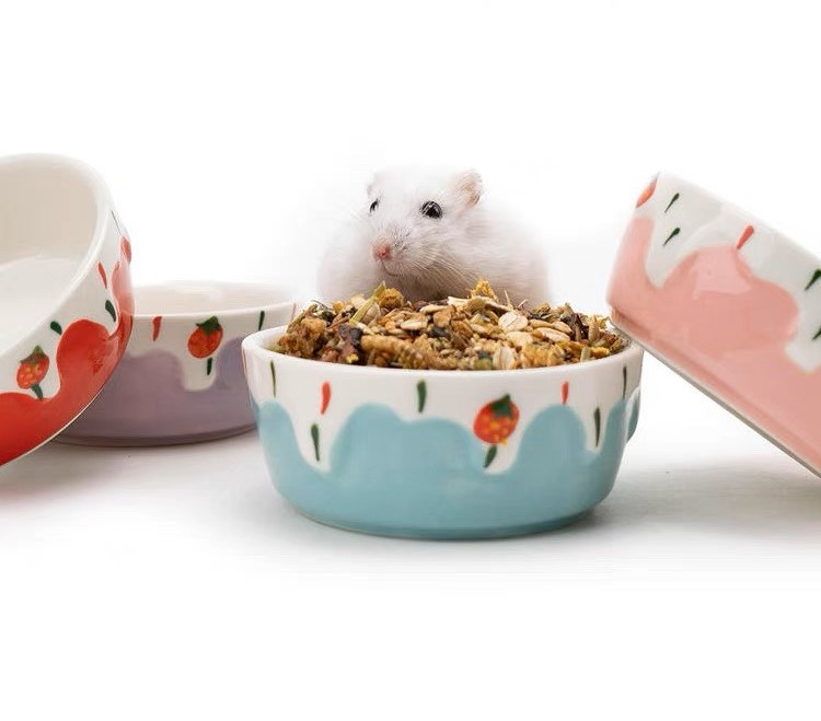 chén sứ kem dâu cho hamster, thỏ, bọ,chó, mèo - T3 PETS SHOP
