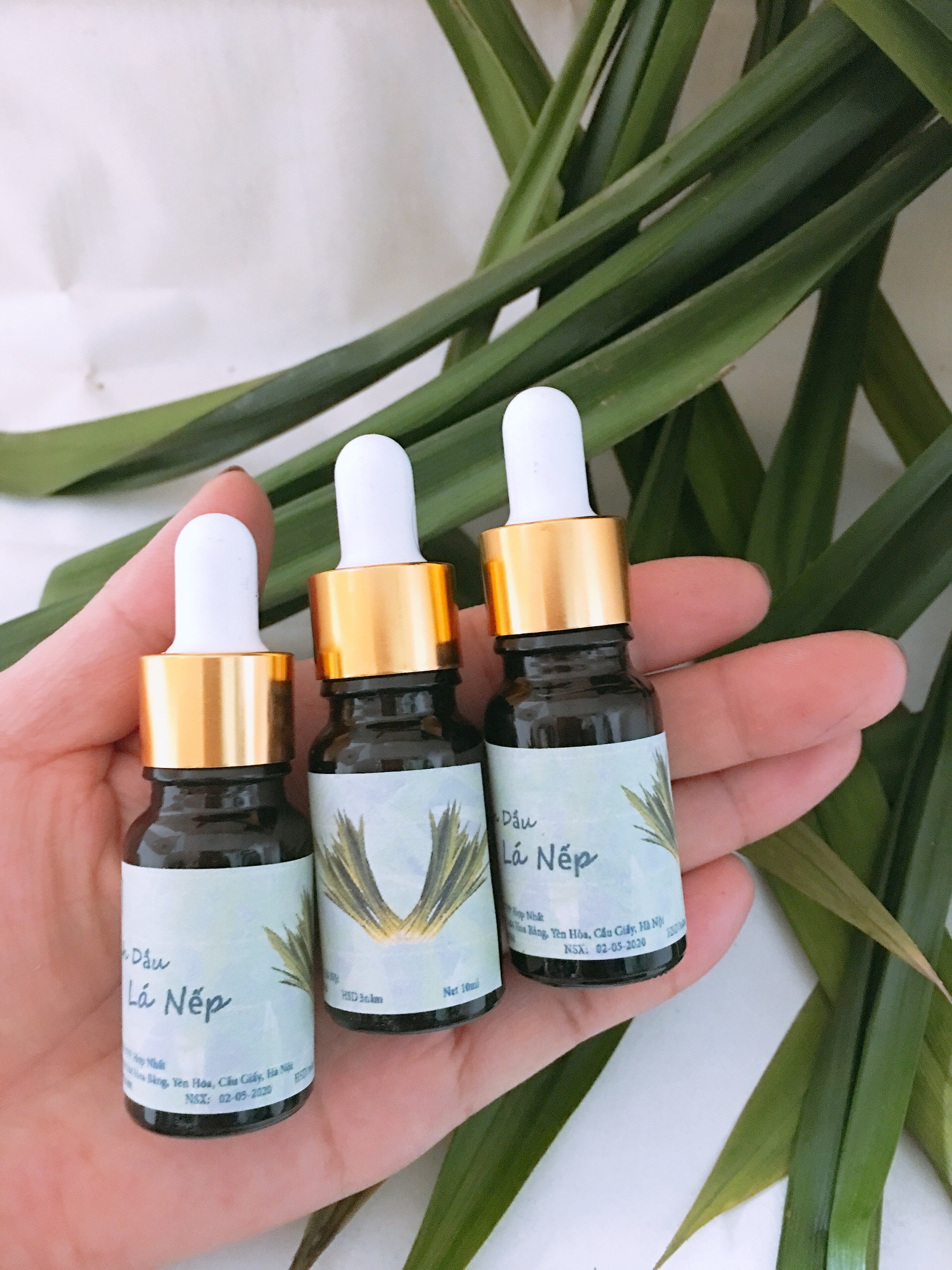 Tinh dầu Lá Nếp thơm lọ 10ml