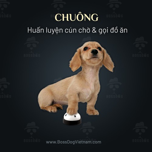 Chuông huấn luyện chó  BossDog