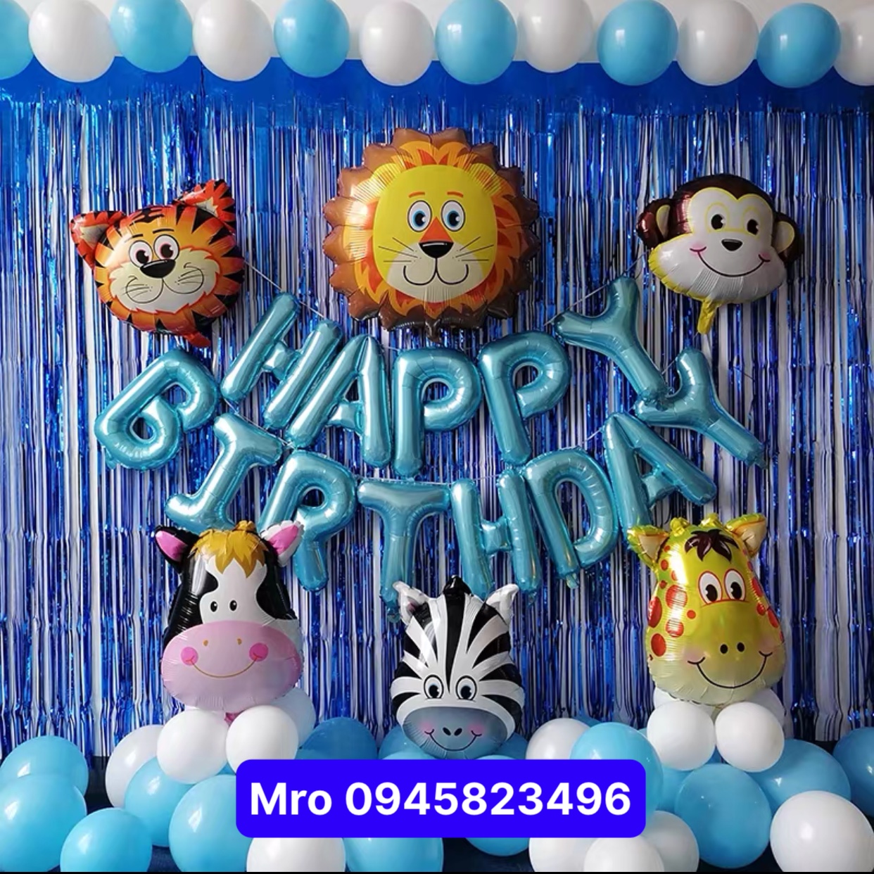 Bóng hình mickey mẫu mới