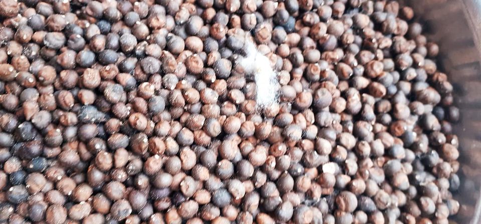 900gram hạt bông gòn giống