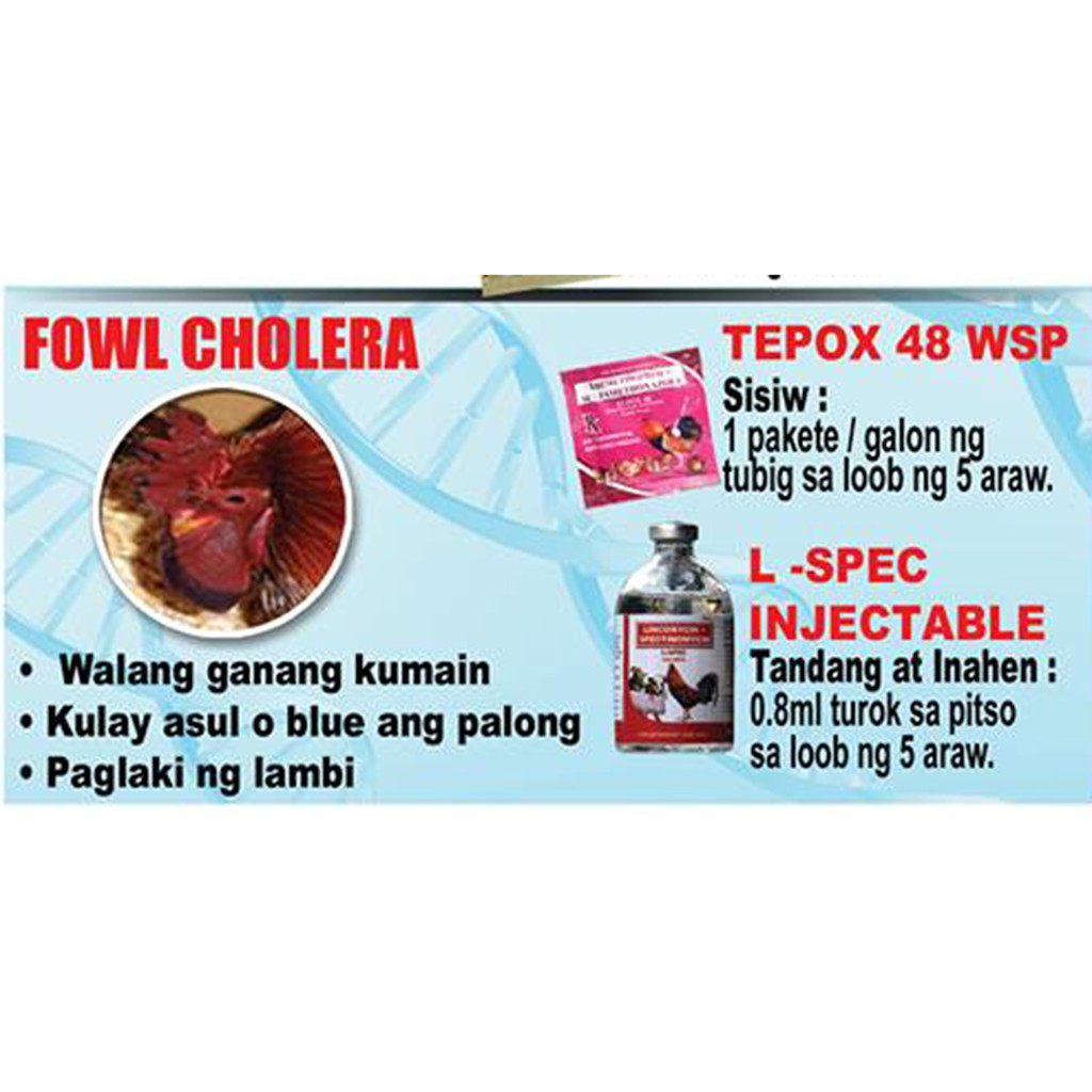 L - SPEC excellence khò khè xổ mũi dành cho gà đá 100ml