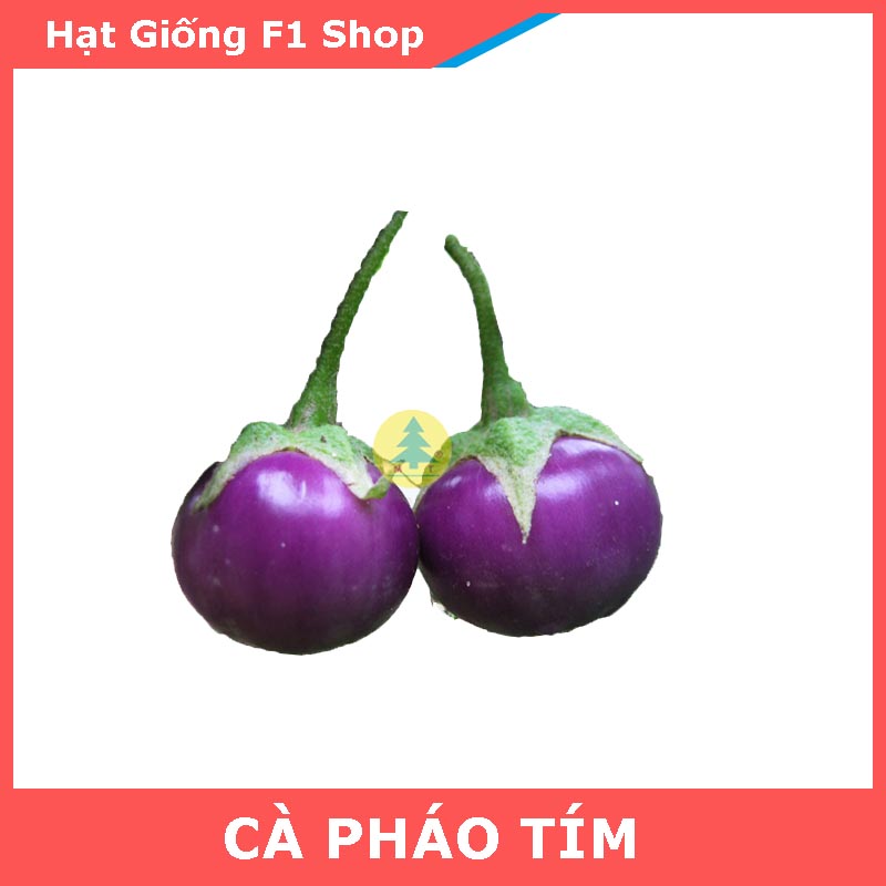 Hạt Giống Cà Pháo Tím Giòn Ngon