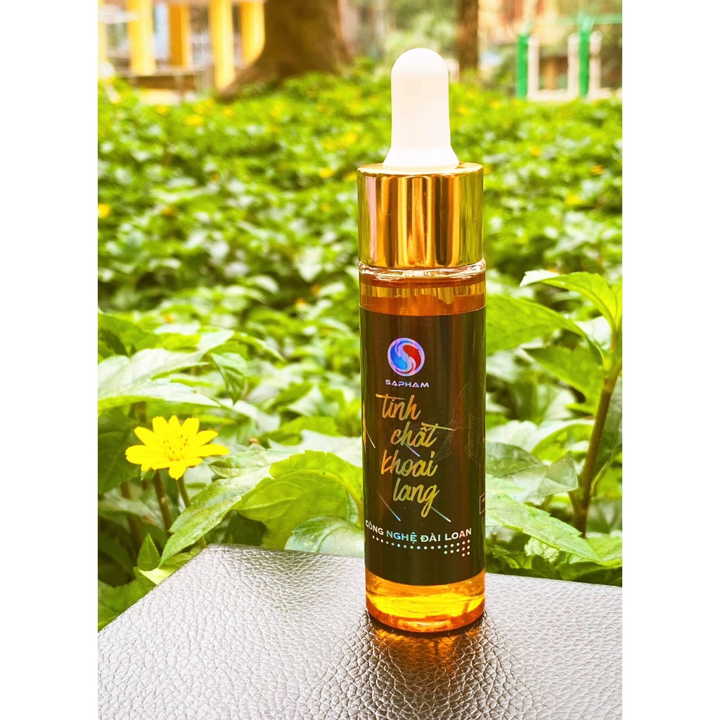 Tinh chất khoai lang Sa Phạm - Mồi câu cá