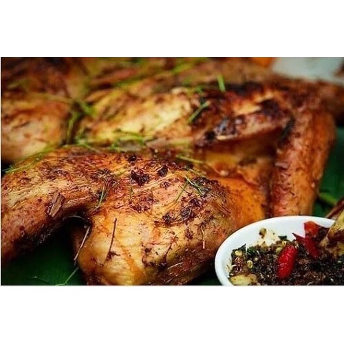 Hạt dổi rừng tây bắc