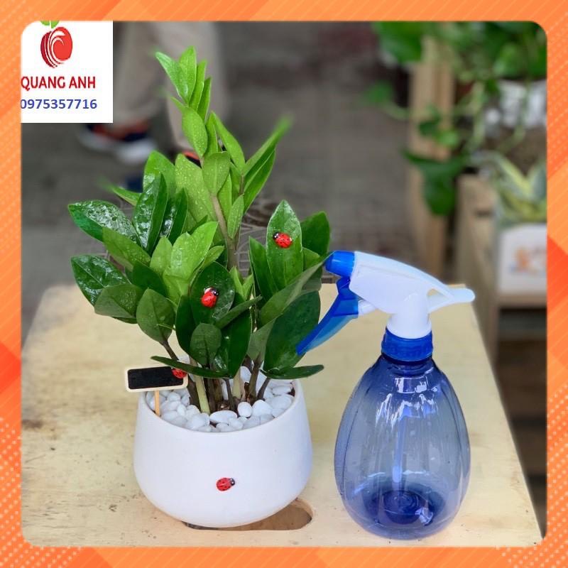 [FreeShip] Bình Tưới Mini - Bình Xịt Phun Sương Mini - 0,5L nhiều màu