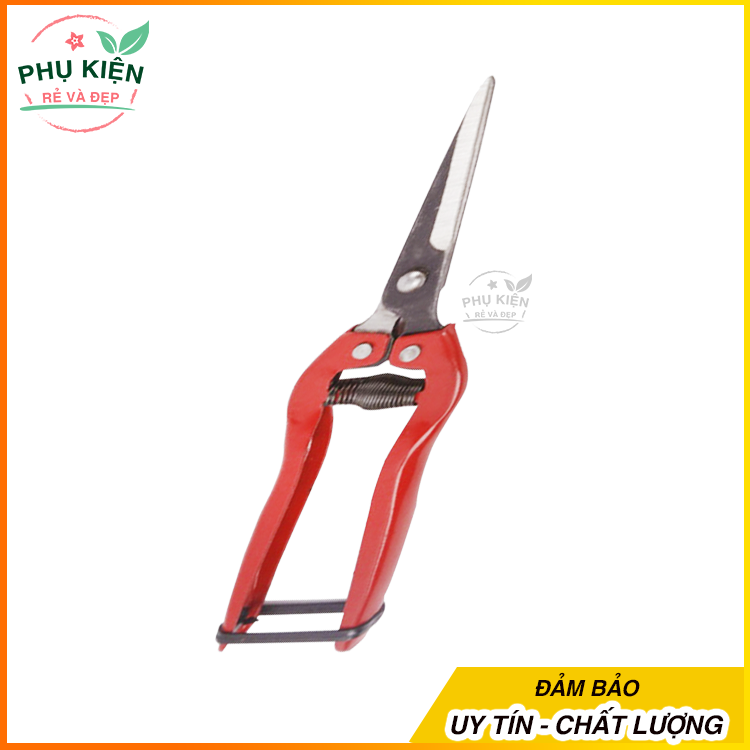 [HCM]Kéo cắt tỉa cành cây giống và trái cây hái rau sắt đỏ
