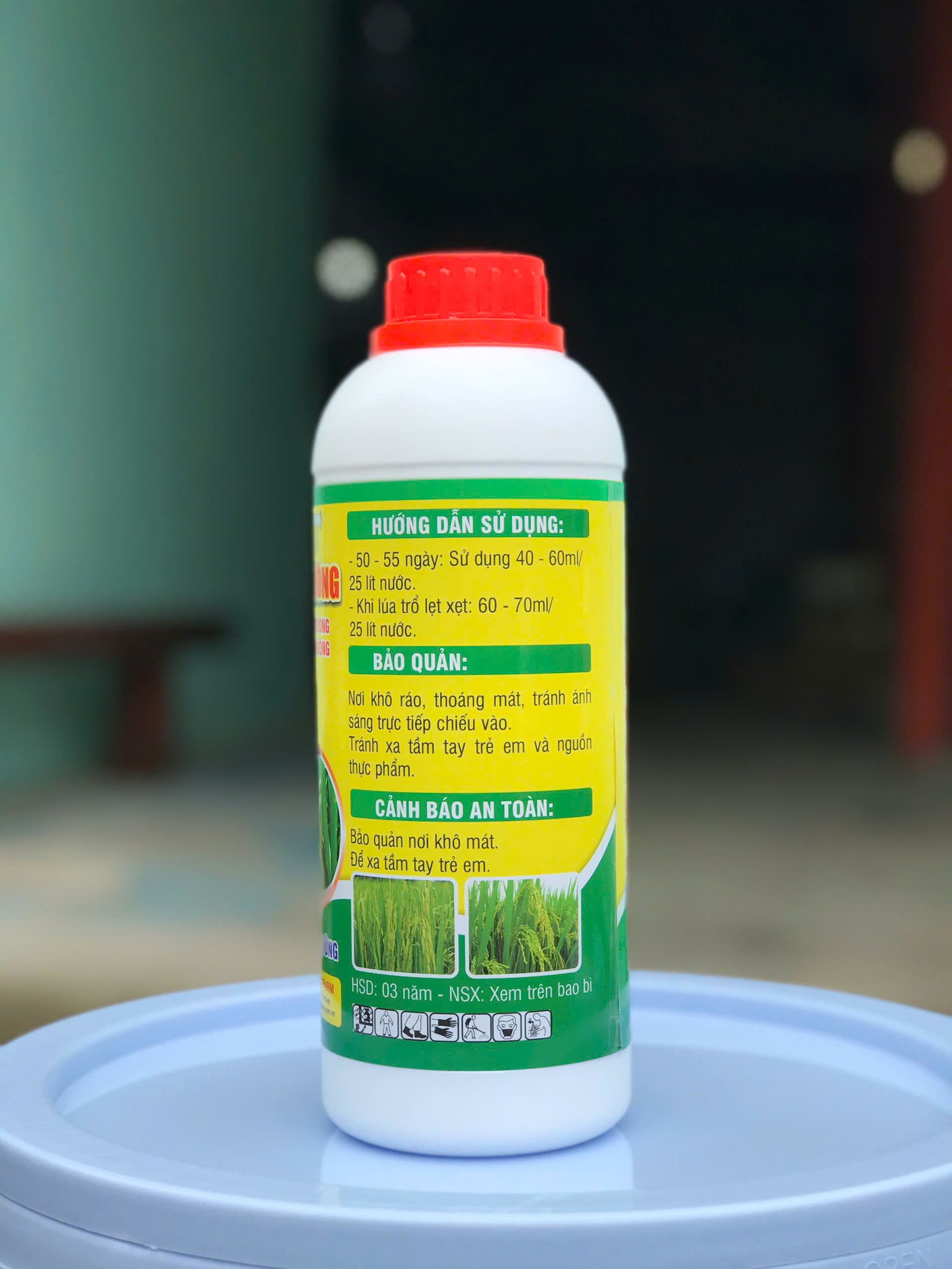 PHÂN BÓN CHO LÚA - LỚN ĐÒNG DÀI BÔNG