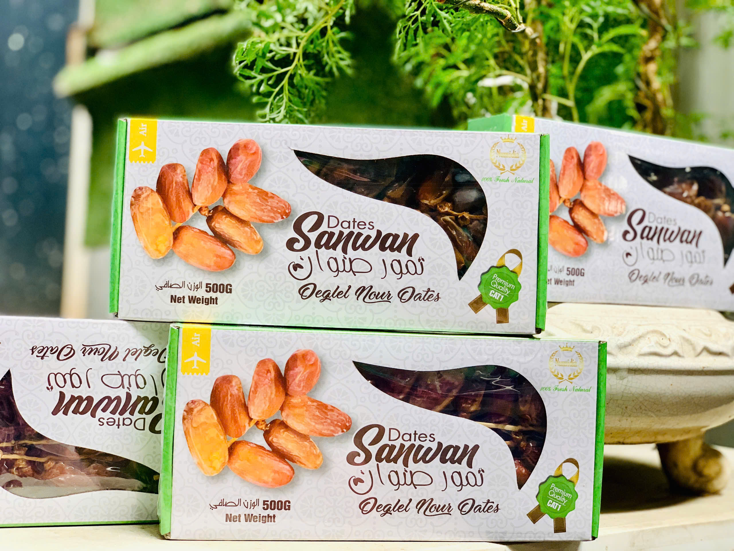 Sỉ 1 thùng chà là nguyên cành Isarel (10-12 hộp/thùng)