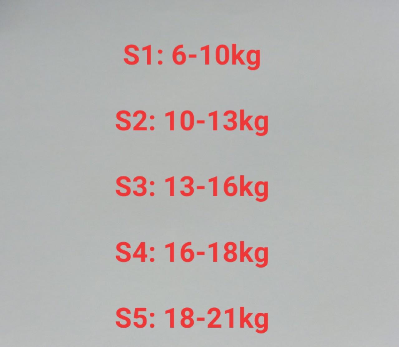 SET 5 ÁO THUN CỔ TIM CHO BÉ GÁI
