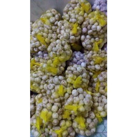 1kg tỏi Ninh Thuận