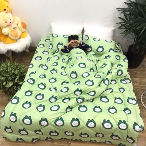 Set 4 Chăn Phao Cotton Poly  ẾCH XANH đáng yêu,dễ thương