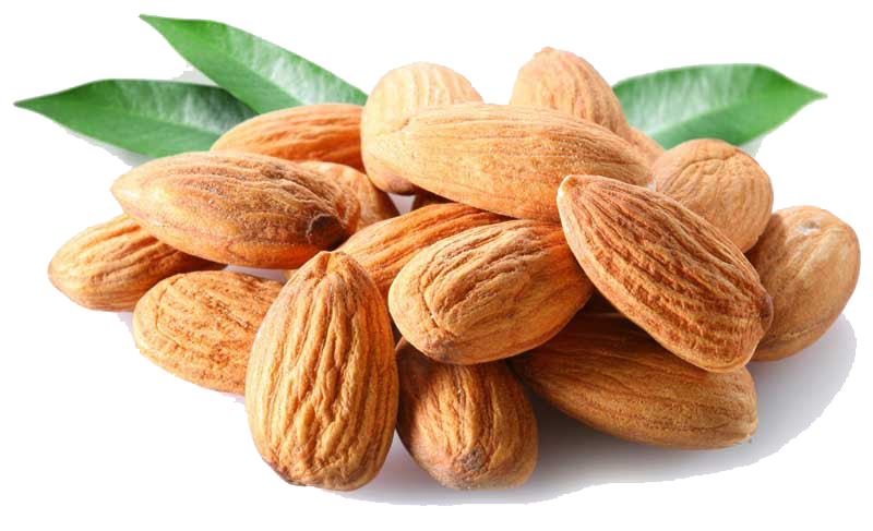 Hạnh Nhân Rang Bơ | Hũ 500.Gram