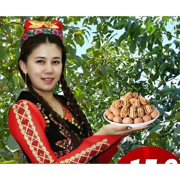 COMBO 1.5KG QUẢ ÓC CHÓ RỪNG ĐẶC SẢN SAPA VỎ MỎNG