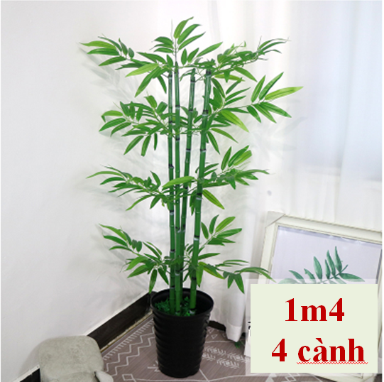 Cây Tre Cảnh