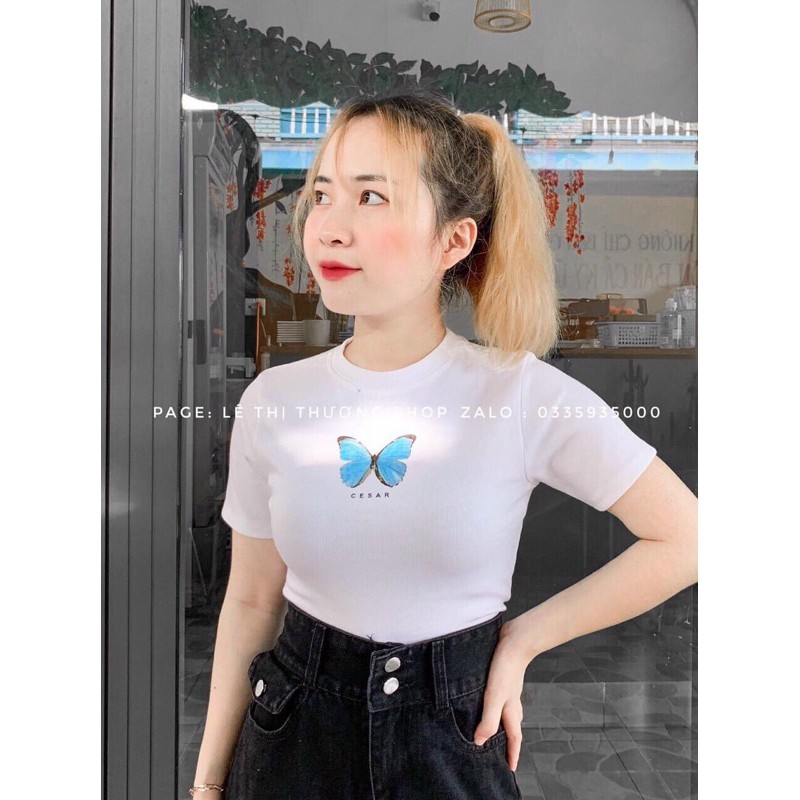 💕ÁO CROPTOP BANAWA CASAR
