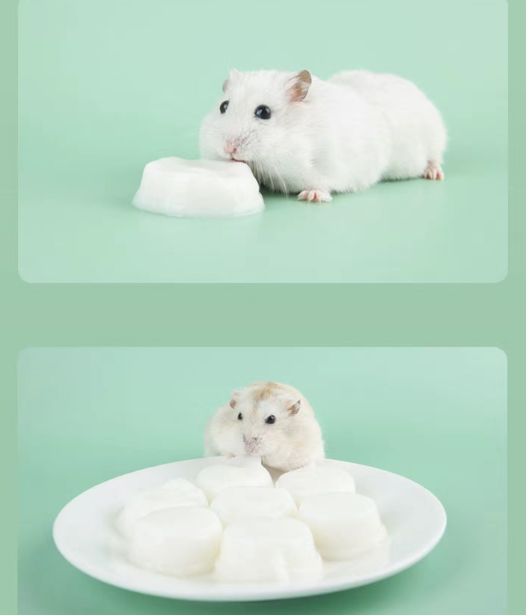 Jonsanty Pudding sữa dê cho Thỏ Hamster 1 viên