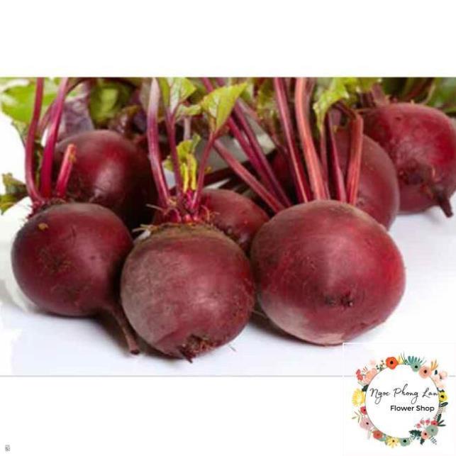 Hạt Giống Củ Dền - Gói 5 Gram