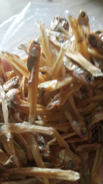 cá cơm biển cửa lò