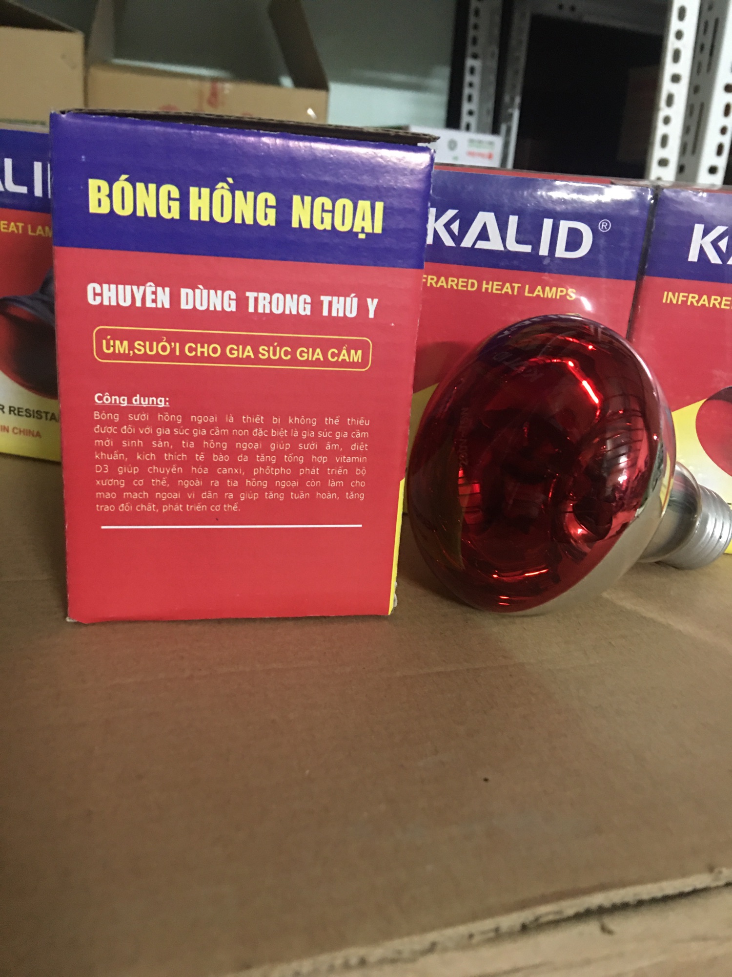 Bóng đèn úm hồng ngoại 75w