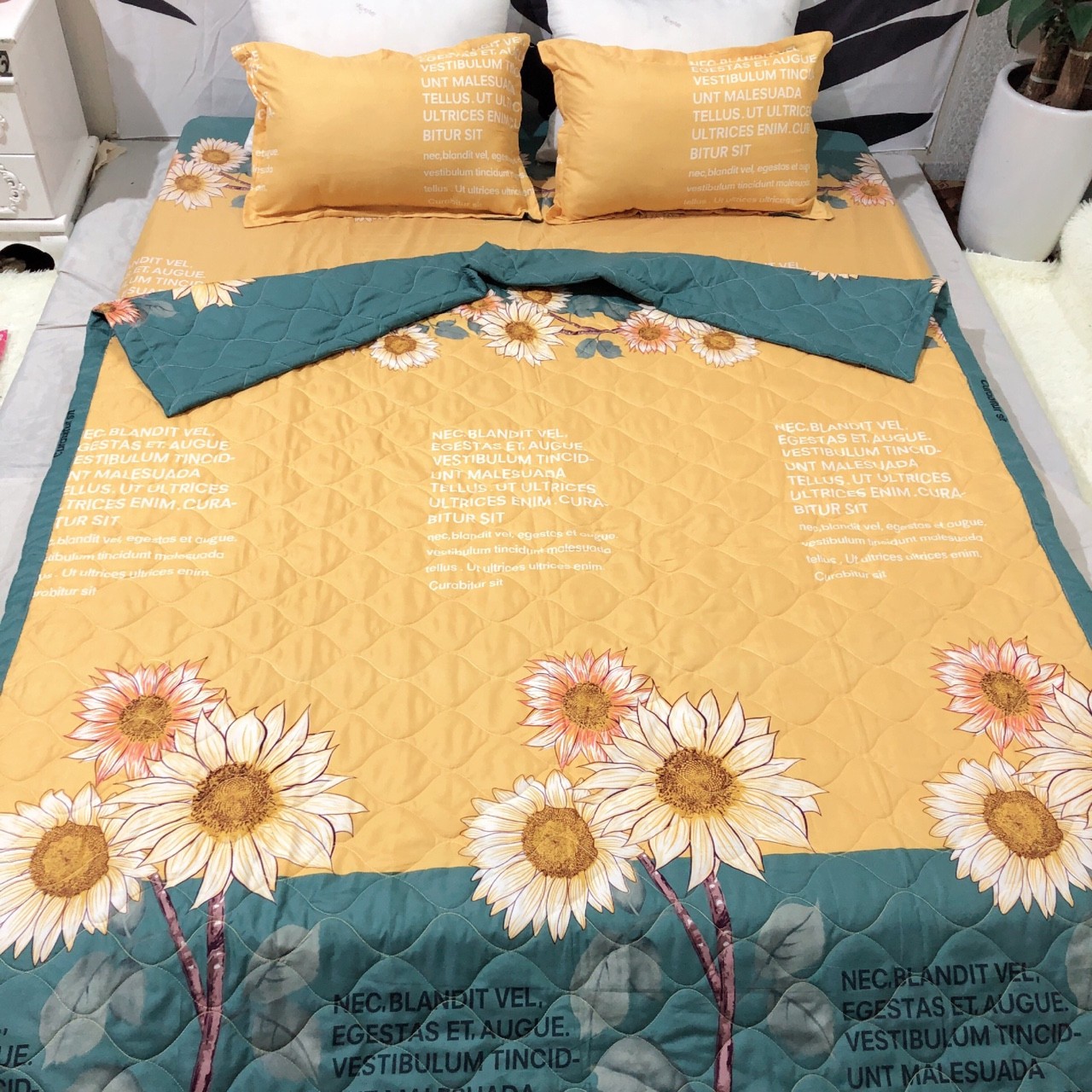 Set 4 Món Chăn Hè Trần Bông, Ga và 2 Vỏ Gối Chất Cotton Poly Mẫu HOA HƯỚNG DƯƠNG