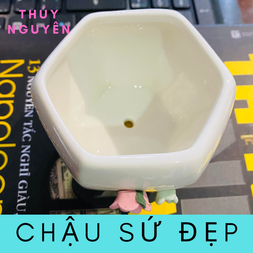 Chậu gốm sứ mini trồng sen đá