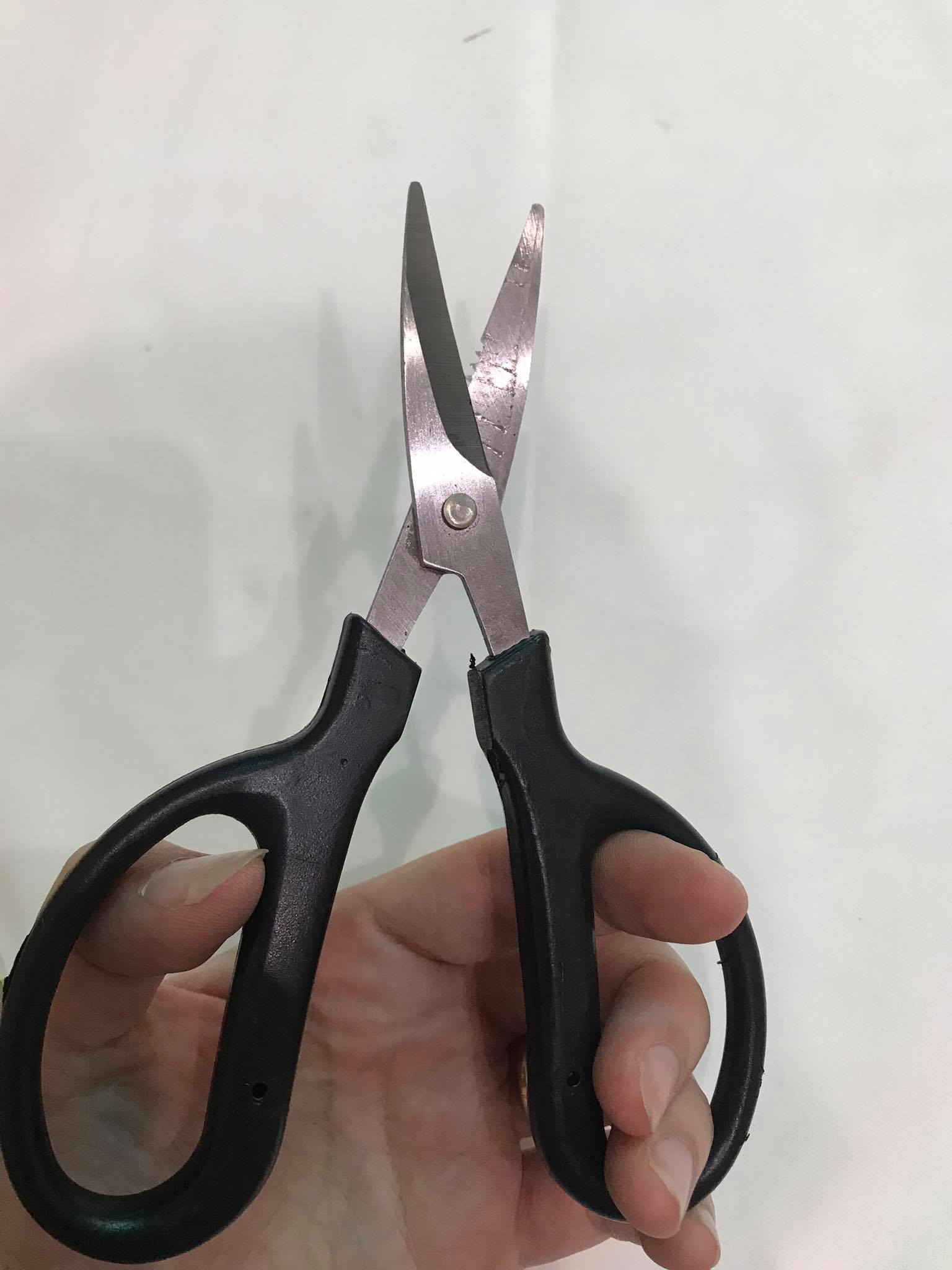kéo tỉa cành/ cắt hoa hàng chất lượng