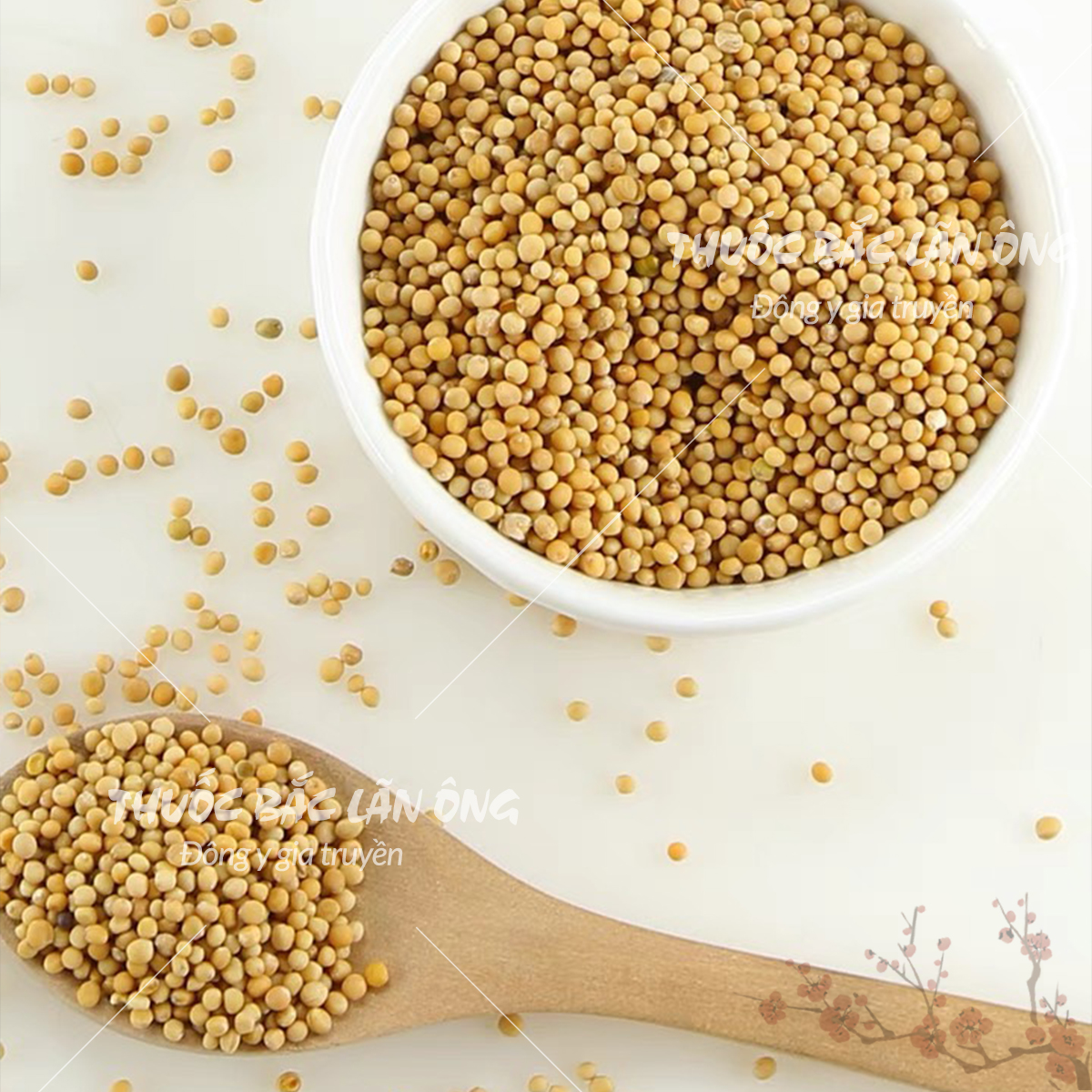 Bạch giới tử 100g (Hạt cải trắng, bổ phế, long đờm)