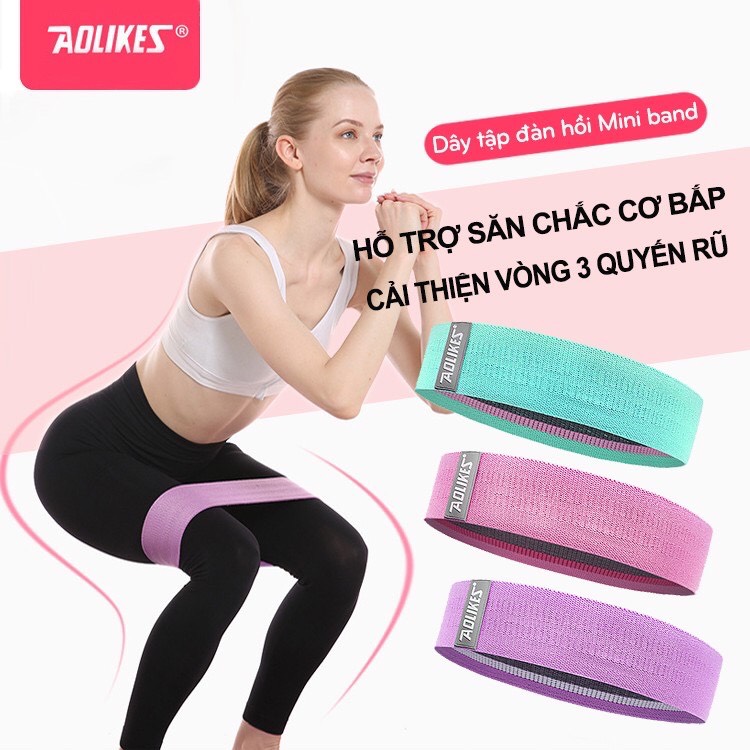 Dây Đàn Hồi Kháng Lực Tập Mông Miniband Aolikes EROS