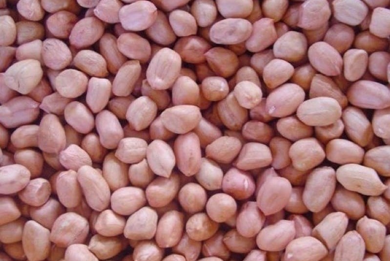 500g đậu quê sạch đủ loại