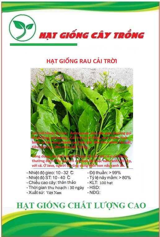 Hạt giống hoa uyển hồng ( Gói 100 hạt)