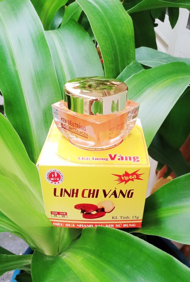 [HCM]Kem siêu trắng linh chi vàng 15g