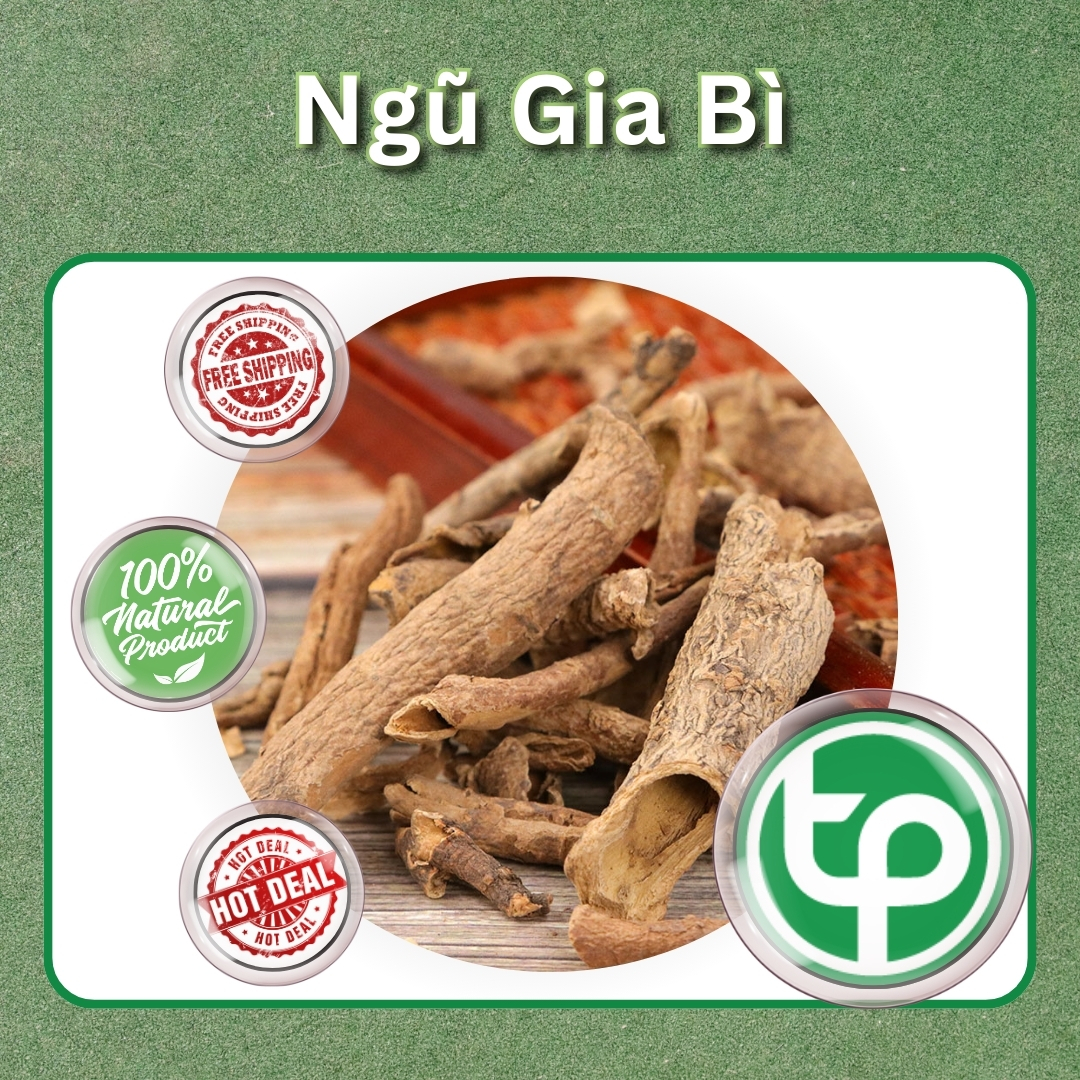 [TÚI LỚN 1KG]Ngũ gia bì sấy khô hàng công ty chất lượng cao - chuyên dùng để hỗ trợ cải thiện tình trạng đau nhứt xương khớp - Thảo Dược Tấn Phát