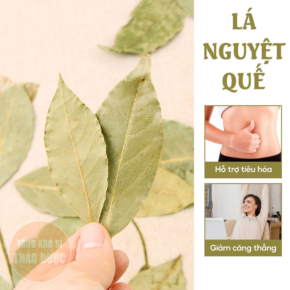 Lá nguyệt quế 50g, lá thơm, bay leaf, gia vị nấu ăn, trang trí, xông nhà, khử mùi, tốt cho tiêu hóa