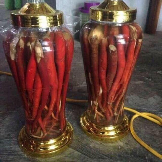 1kg sâm cau đỏ tươi