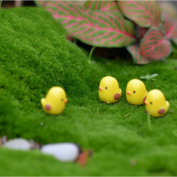 Gà mini - Phụ kiện terrarium Vườn sen đá