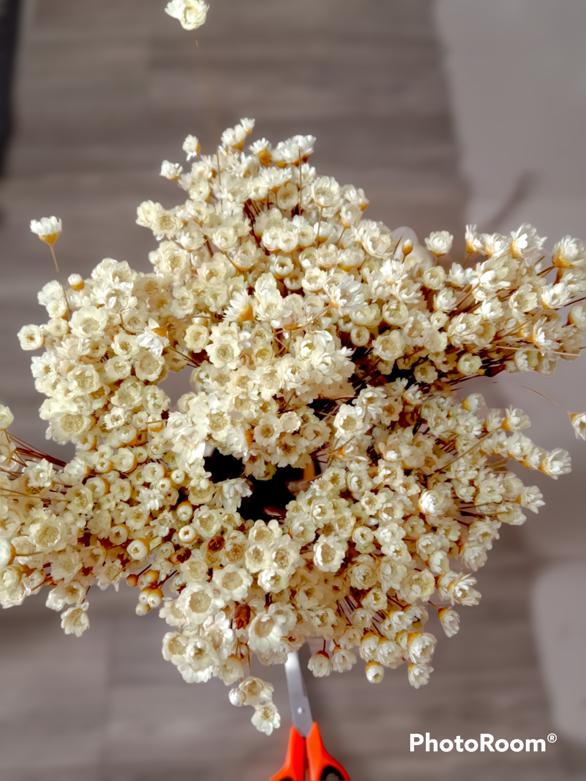 hoa khô - cúc mini - ngâm nước khép lại