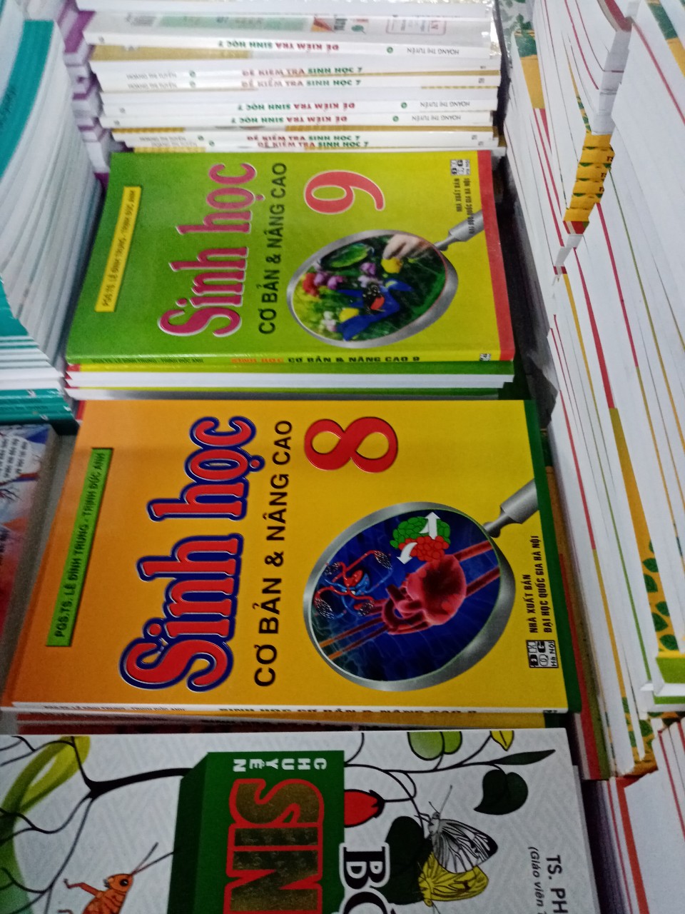 Sách Sinh Học Cơ Bản & Nâng Cao 9 (Tái Bản)