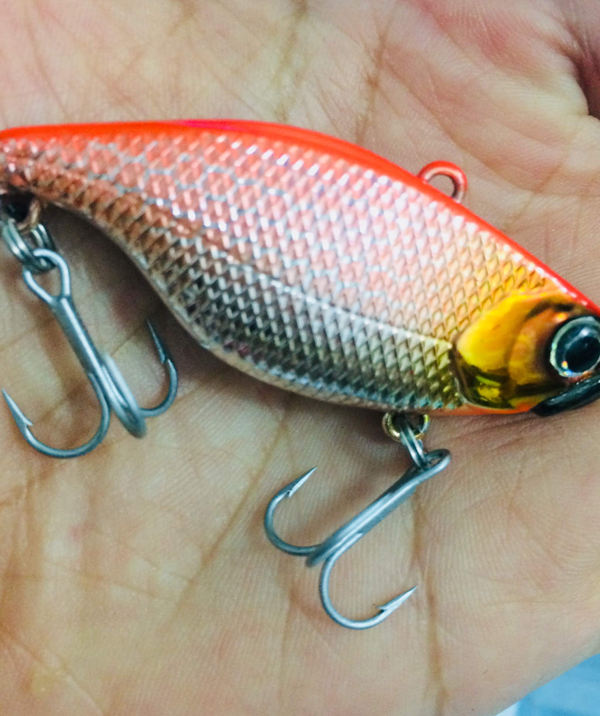 [HCM][CỰC NHẠY] Mồi câu Cá Lóc Cá Chẽm Cá Tráp mồi cá giả alkall 50 mồi câu lure siêu nhạy mồi câu cá lóc hiệu quả mồi câu cá lóc cá chuối cá tràu mồi giả alkall 50