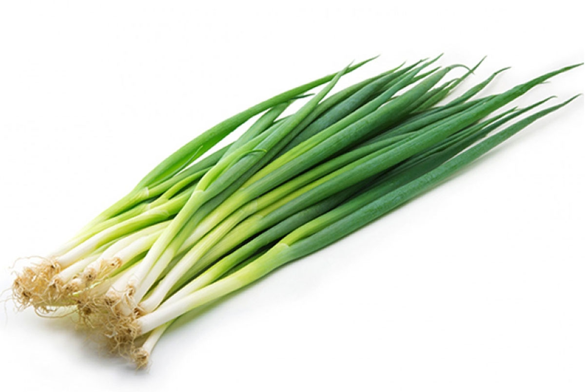 Easy-to-grow onion seeds
