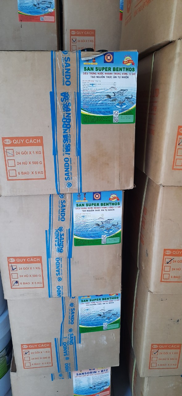 SAN SUPPER BENTHOS TẠO BOBO TRỨNG NƯỚC [SANDO]