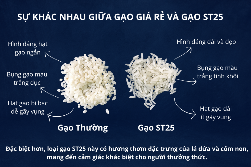 Gạo Thơm ST25 Gạo A An Túi 5 KG