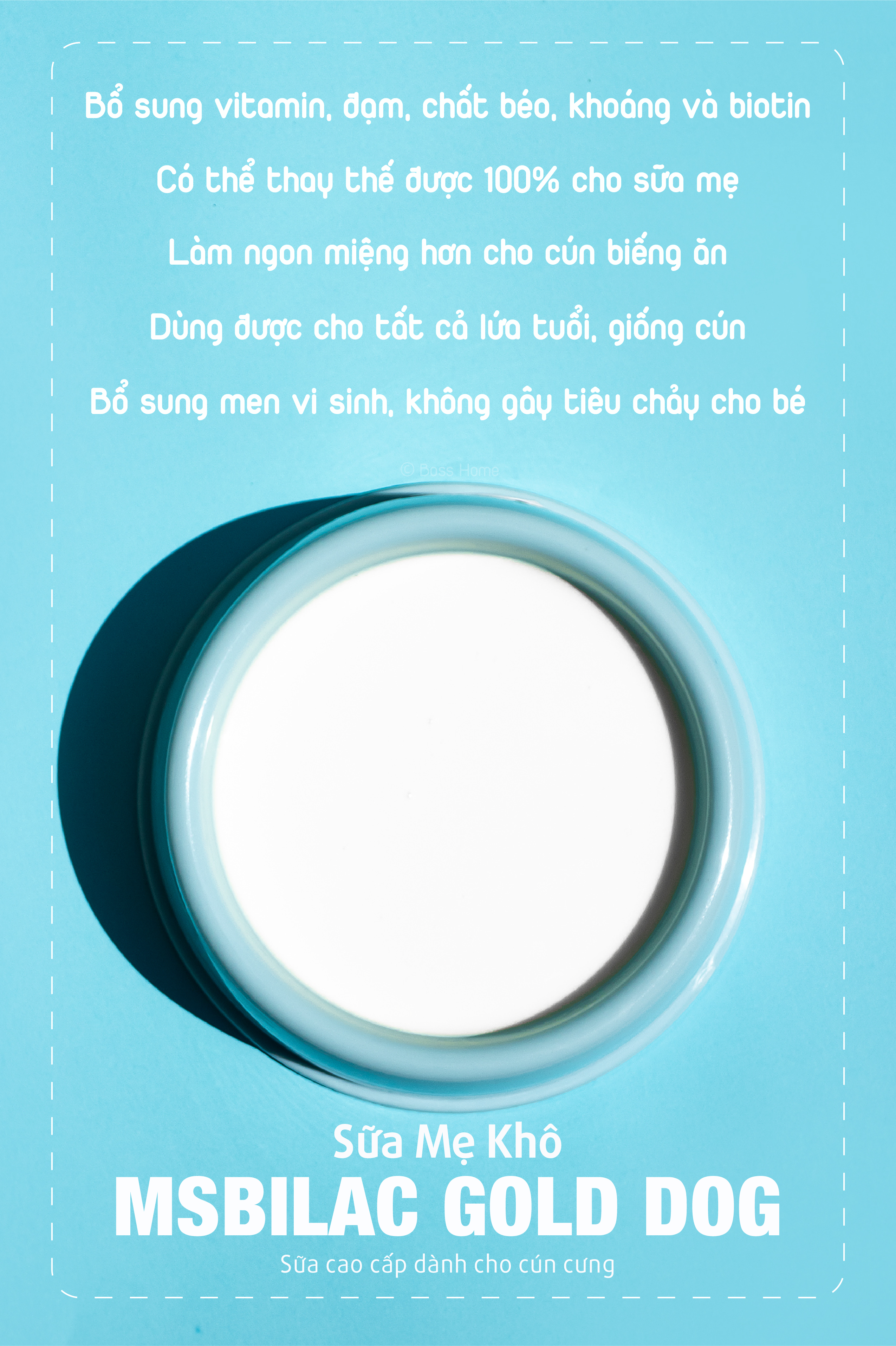 Sữa cho chó cao cấp Msbilac Gold Dog 330g