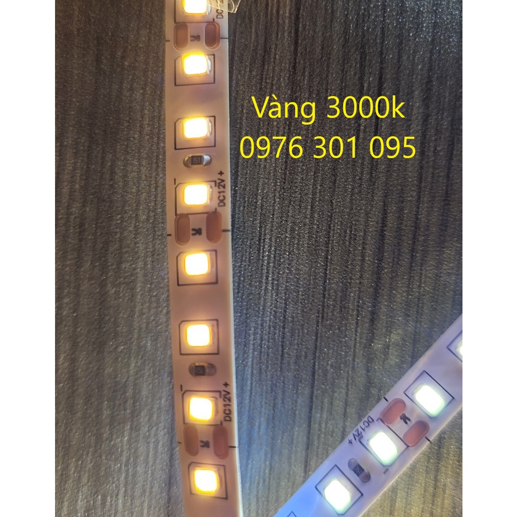 Đèn Led Dây 5m 12v, 2835 120 led (Trắng - Vàng - Vàng Nắng 4000k)