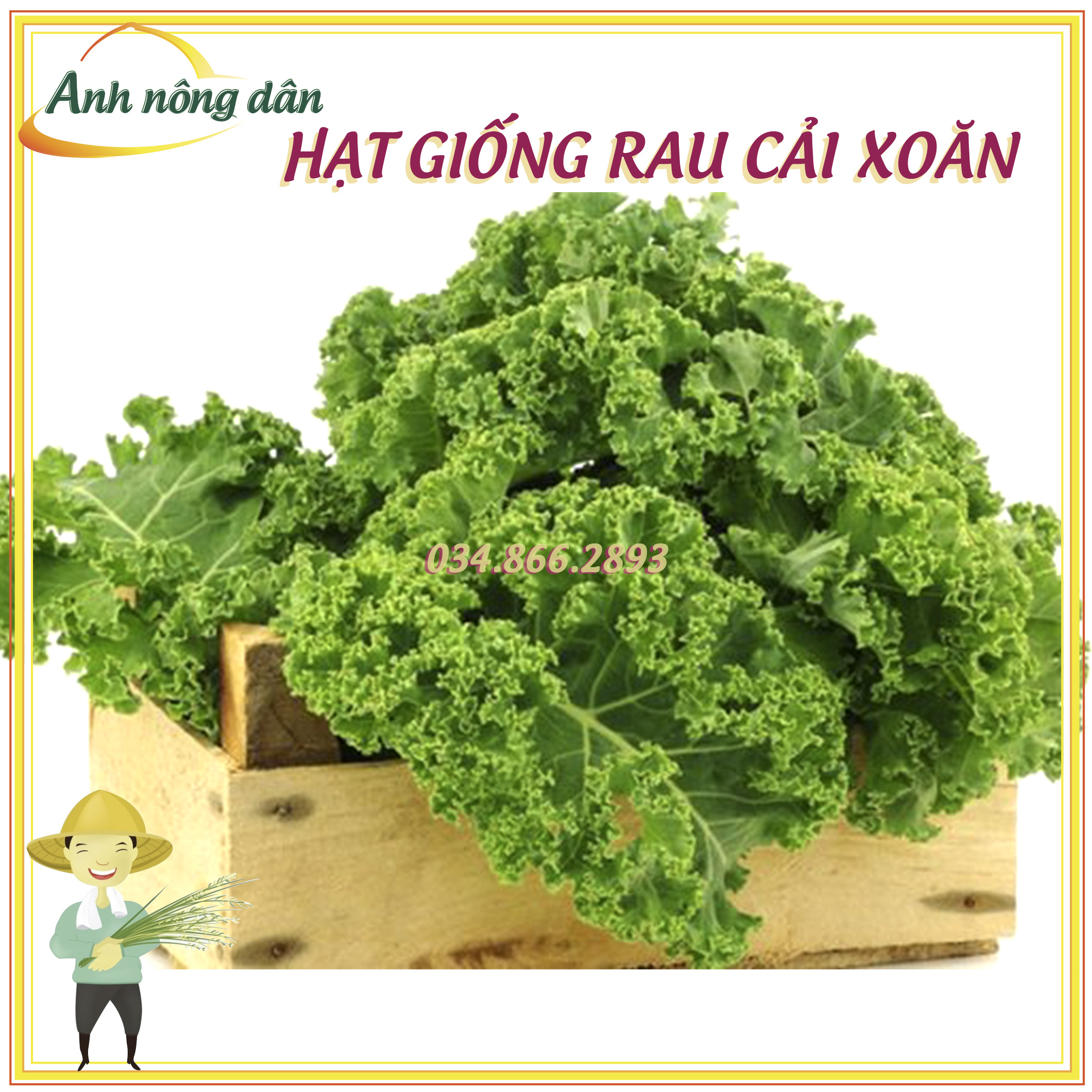 Gói 2g Hạt giống rau cải xoăn kale - nảy mầm tốt, dễ trồng