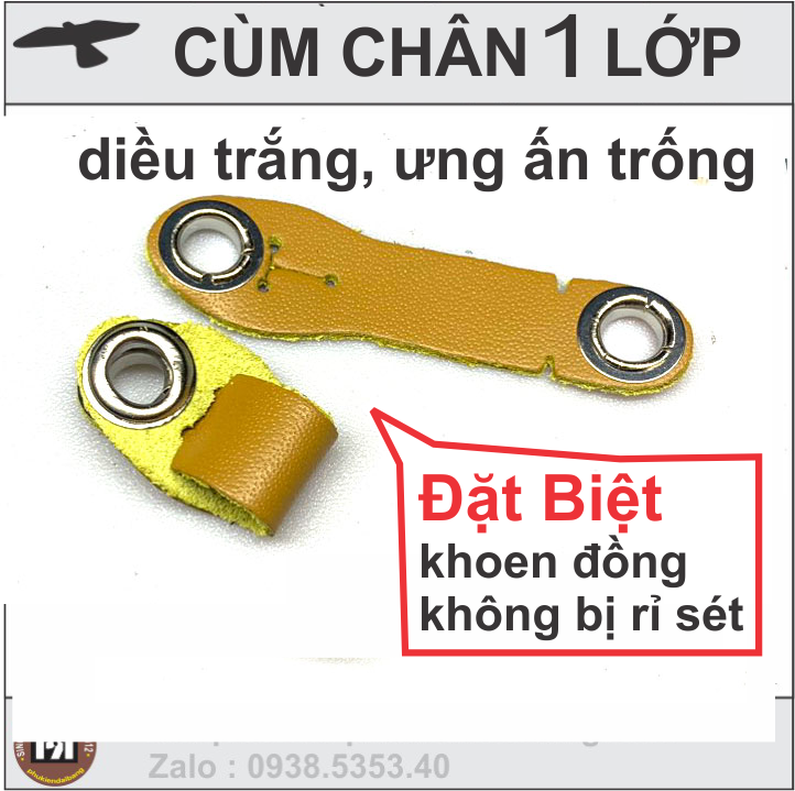 Bộ dây da loại  chim ưng