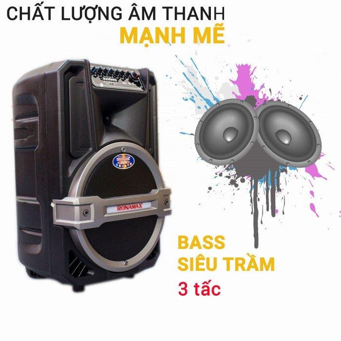 Loa kéo Karaoke di động Bluetooth Ronamax T12 ( 300W )