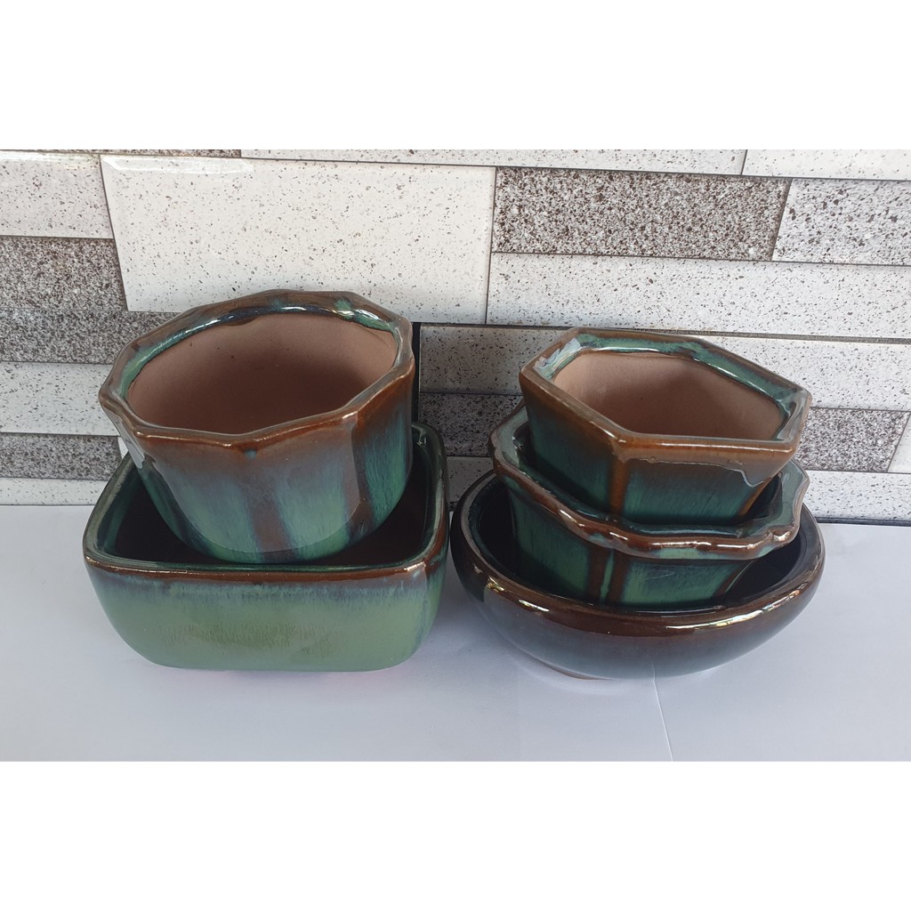 [HCM]Combo 5 chậu gốm sứ men xanh (tặng 01 cây sen đá vỉ bất kỳ)